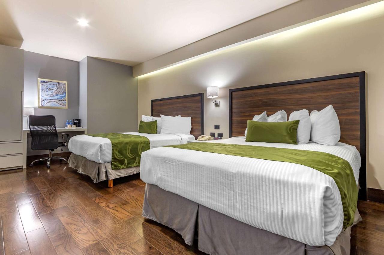 Quality Inn Chihuahua San Francisco Buitenkant foto