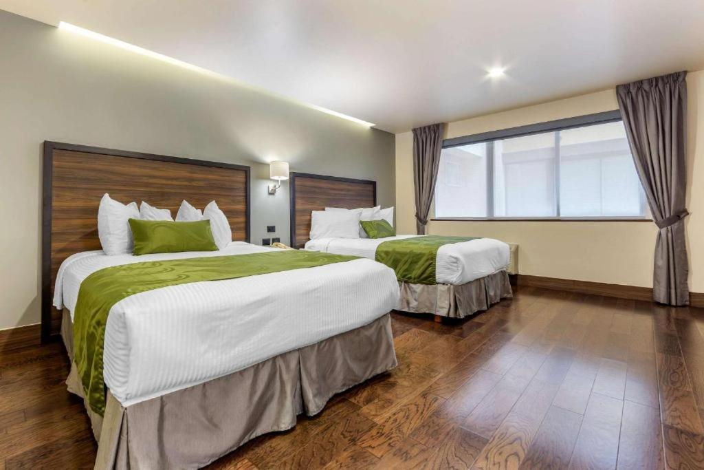 Quality Inn Chihuahua San Francisco Kamer foto
